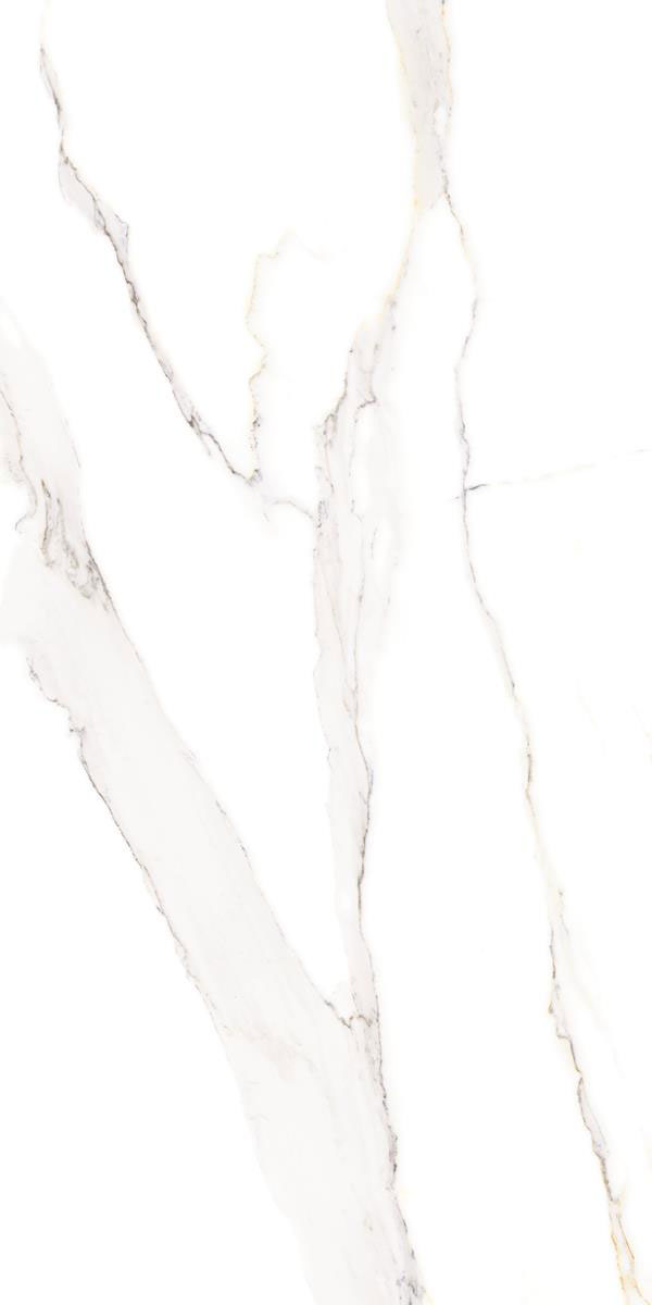 RIGHTO WHITE F2